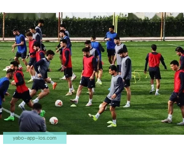 2026世界杯三国联合举办精彩赛事全面解析