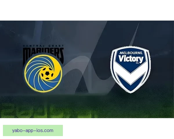 最受欢迎的世界杯竞猜正规平台推荐与分析助你轻松预测赛事结果